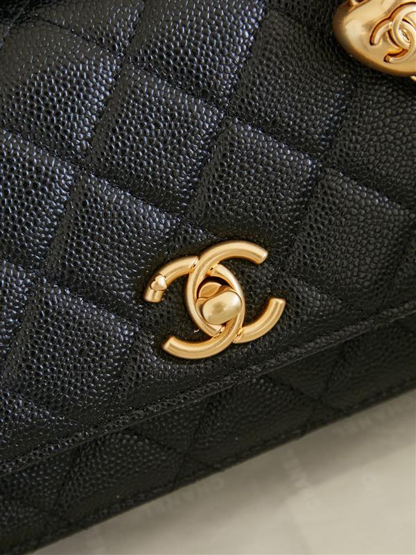 2026127205130230 570